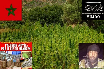 Belani: Le Maroc fantasme sur ses victoires diplomatiques
