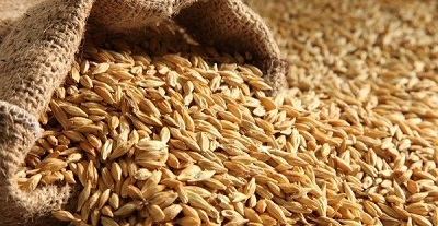 La sécheresse menace l’économie du grenier à blé du Maroc: Banque mondiale